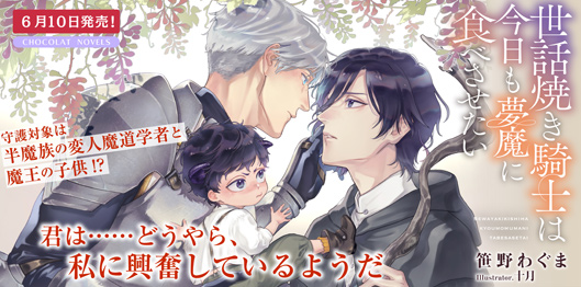 Chocolat Web【ショコラウェブ】－ 株式会社 心交社