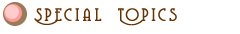 Special Topics